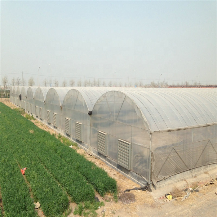 Clear Plastic Shed Greenhouse Covering Plastic protection Film Greenhouse Used for Agricultural Greenhouse Film