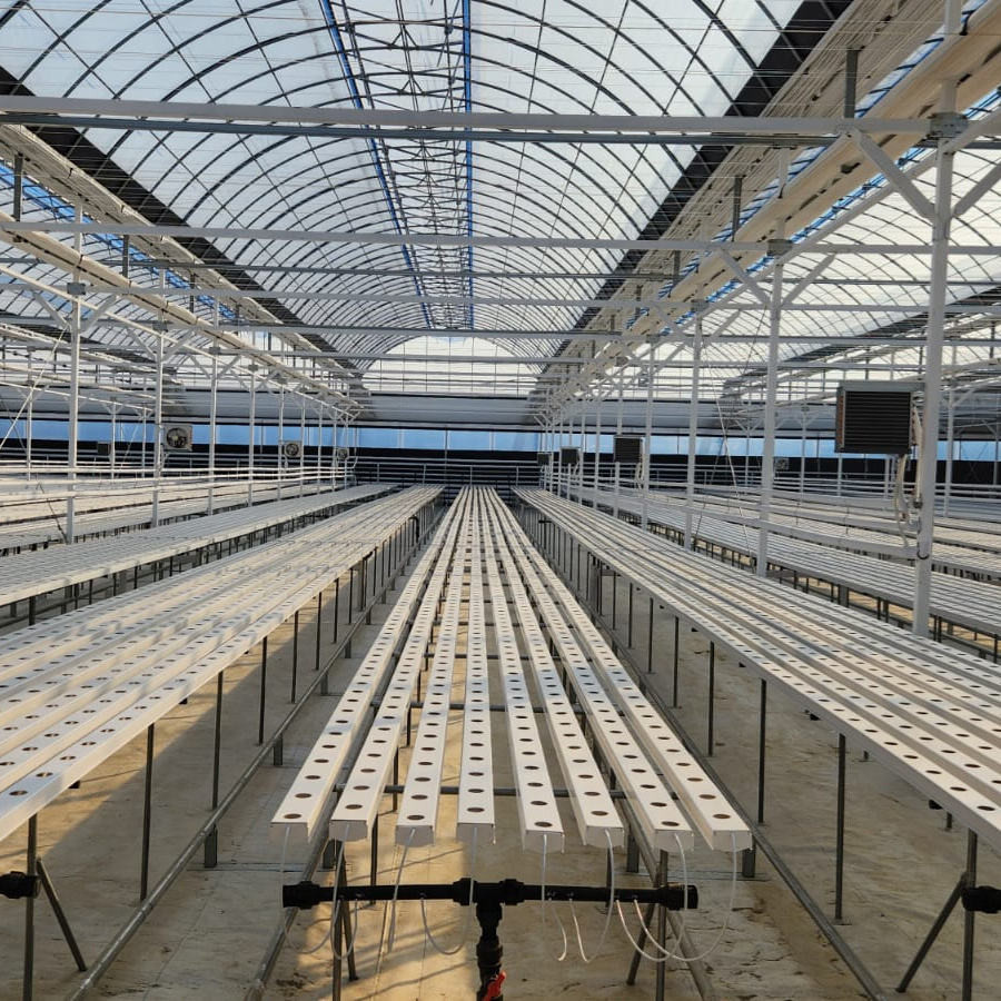 Agriculture NFT Water or Substrate Growing Hydroponic System for Poly Tunnel Greenhouse/Film/PC/Glass Greenhouse