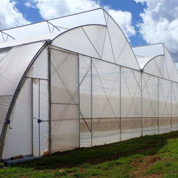 Turnkey Plastic Poly Film Tunnel Greenhouses Agricultural Equipment Greenhouse for Hydroponics Grow Vegetable Greenhouse