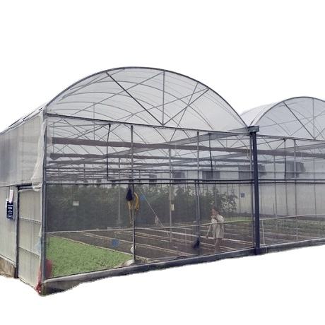 Turnkey Plastic Poly Film Tunnel Greenhouses Agricultural Equipment Greenhouse for Hydroponics Grow Vegetable Greenhouse