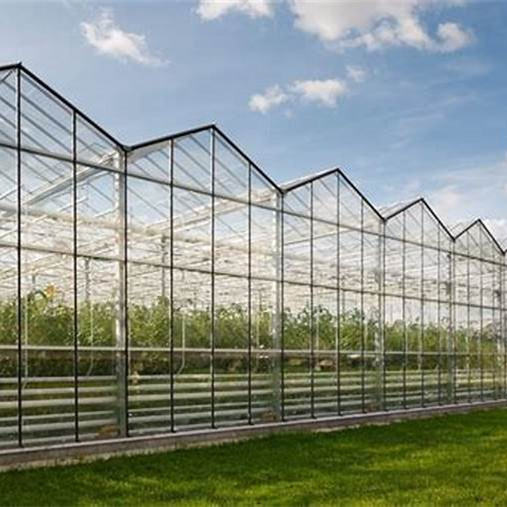 Turnkey Plastic Poly Film Tunnel Greenhouses Agricultural Equipment Greenhouse for Hydroponics Grow Vegetable Greenhouse