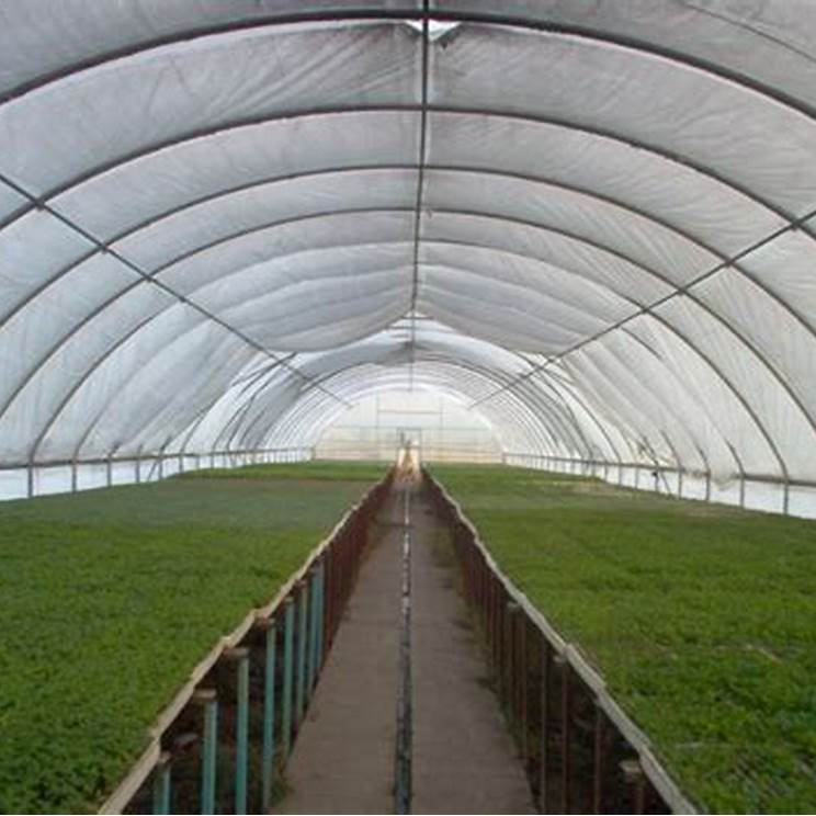 Turnkey Plastic Poly Film Tunnel Greenhouses Agricultural Equipment Greenhouse for Hydroponics Grow Vegetable Greenhouse
