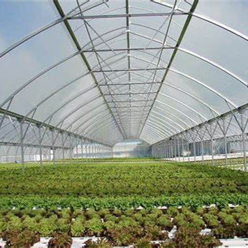 Turnkey Projects Agricultural Tomato Pvc Tunnel Hydroponics Plastic Film Growing Greenhouse