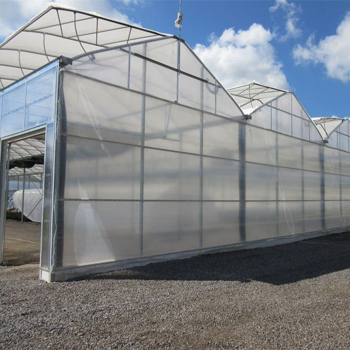 Turnkey Projects Agricultural Tomato Pvc Tunnel Hydroponics Plastic Film Growing Greenhouse