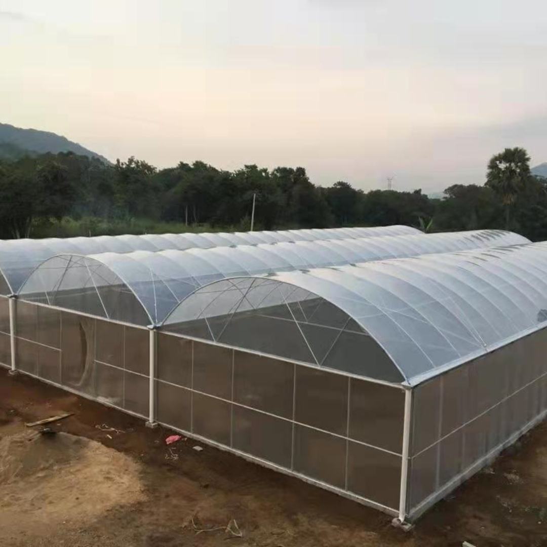 Turnkey Projects Agricultural Tomato Pvc Tunnel Hydroponics Plastic Film Growing Greenhouse
