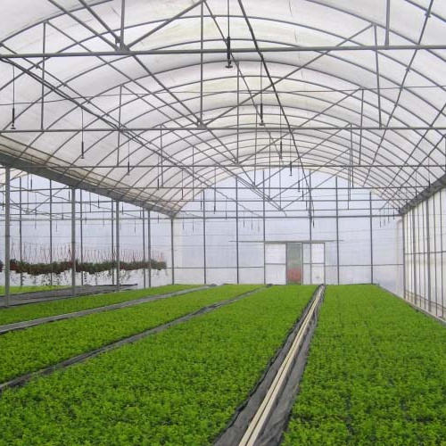 Turnkey Projects Agricultural Tomato Pvc Tunnel Hydroponics Plastic Film Growing Greenhouse