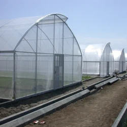 GT 200 Micron Plastic Green House Covering Film Single Span Shading System Blackout Greenhouse