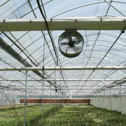 GT 200 Micron Plastic Green House Covering Film Single Span Shading System Blackout Greenhouse