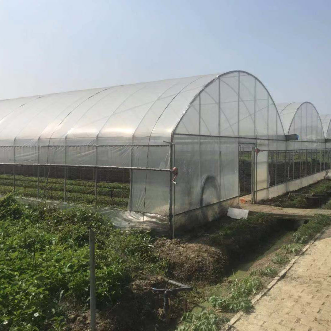 Large Outdoor Winter Greenhouse Transparent Nylon Plastic Tent Waterproof Cover for Plant Cultivation Winter Greenhouse Film