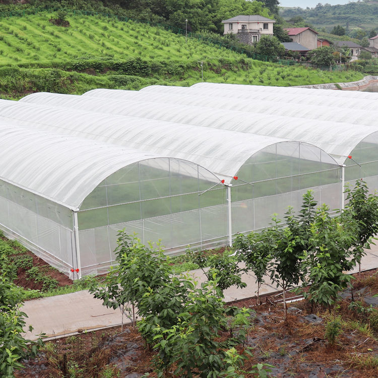 Large Single Span Tunnel Greenhouse Arches Film Greenhouse Plastic Shed for Growing Vegetables