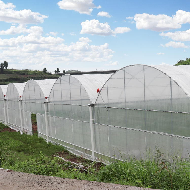 Large Single Span Tunnel Greenhouse Arches Film Greenhouse Plastic Shed for Growing Vegetables