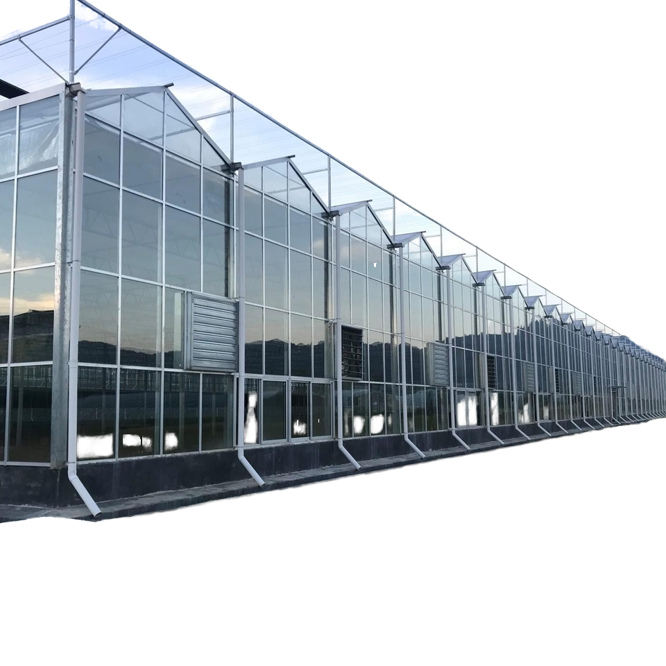 Large Single Span Tunnel Greenhouse Arches Film Greenhouse Plastic Shed for Growing Vegetables