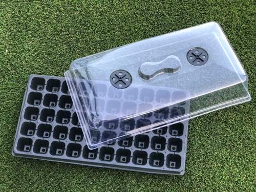 seed grow trays