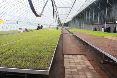 Plastic seed trays from G&N: quality crafted for hydroponic success.