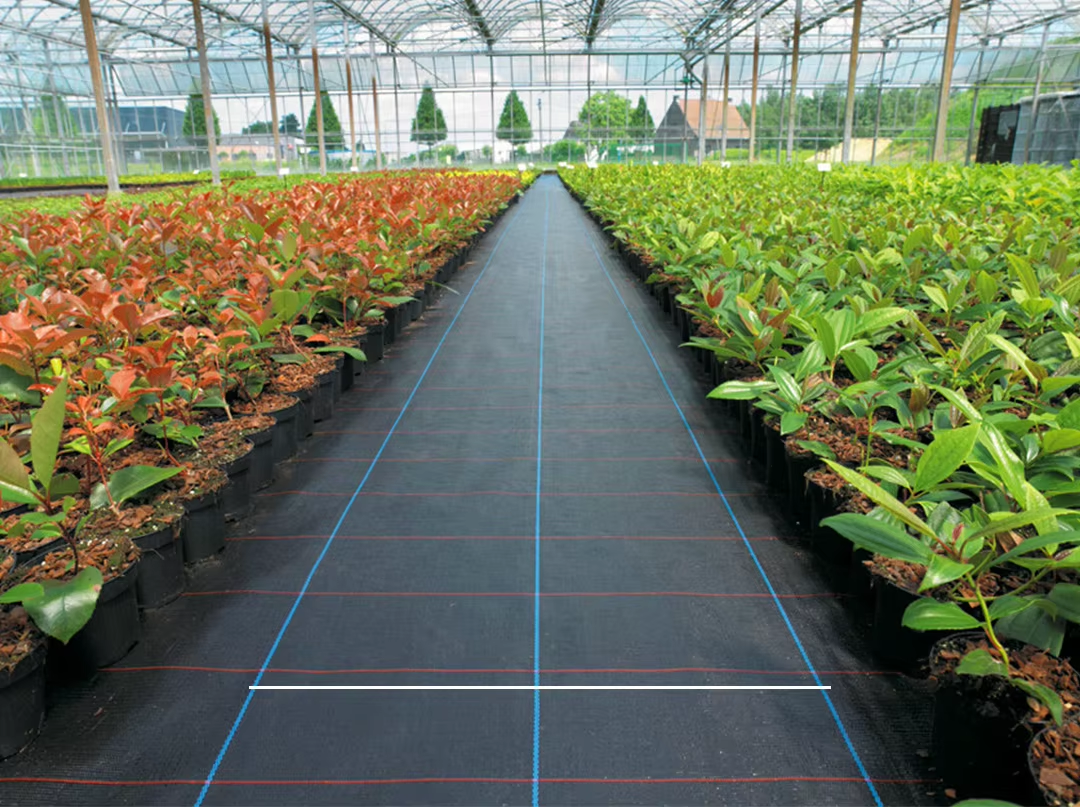 4*100FT Woven Cloth Fabric Pp Weed Barrier Anti Grass Weed Control Blocker Landscape Fabric Garden Anti Uv Ground Cover