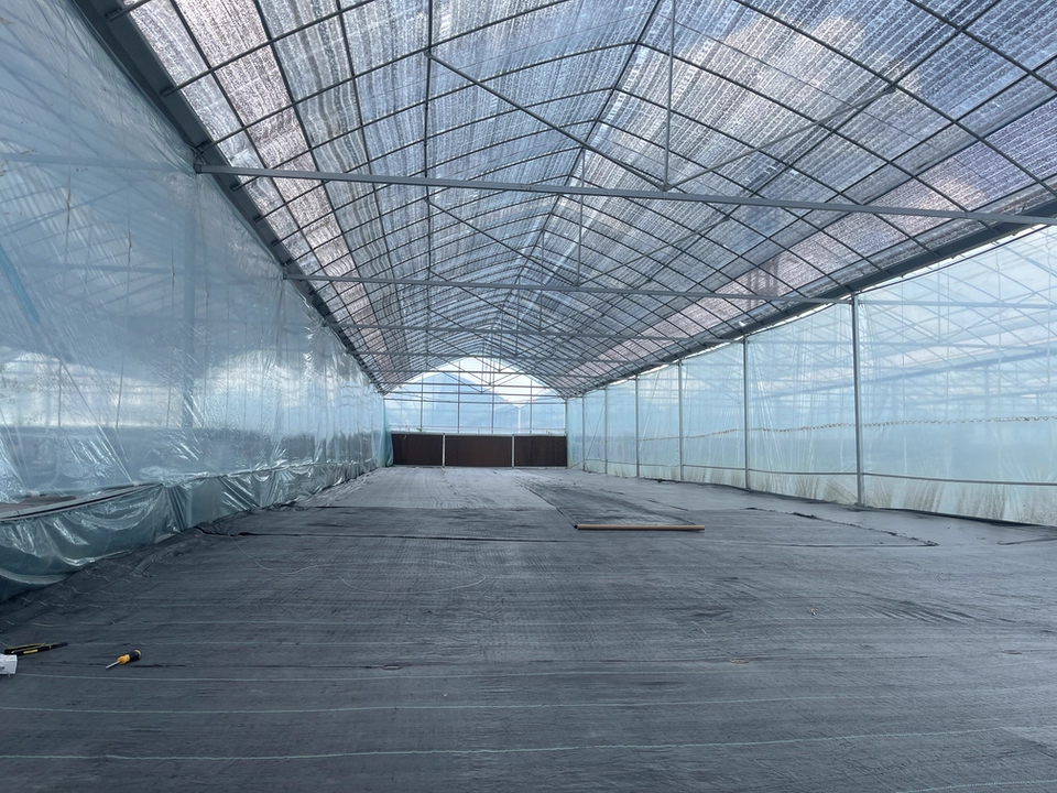 Factory Direct Custom Cut Black Nonwoven Fabric Geotextile Weed Control Mat PP Drawing for Garden Agriculture Stops Grass Growth