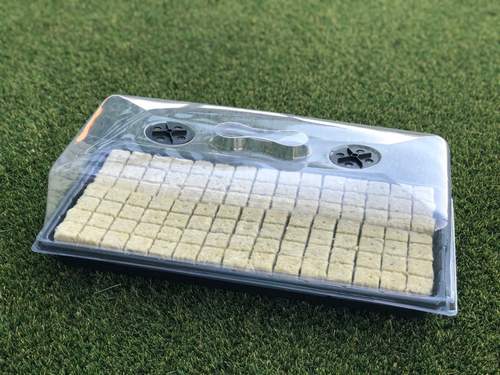 seed-starting trays