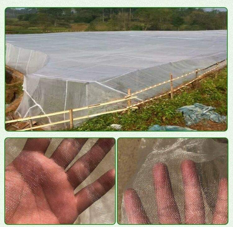 Heavy-Duty Polyethylene Insect Net - Greenhouse Exclusive, Efficient Pest Barrier, Factory Direct Supply