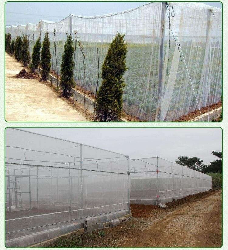 Heavy-Duty Polyethylene Insect Net - Greenhouse Exclusive, Efficient Pest Barrier, Factory Direct Supply