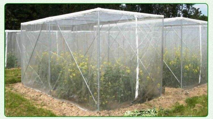 Orchard Fruit Fly Net - Fruit Tree-Specific Insect Net, UV-Resistant & Durable, Bulk Pricing