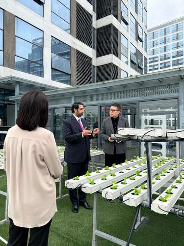 Hydroponic Hydroponic