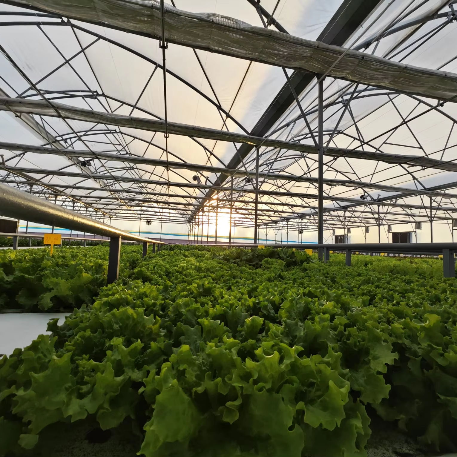 Black UV-Resistant PE Fish Pond Liner Leak-Proof PE Membrane for Commercial DWC Systems