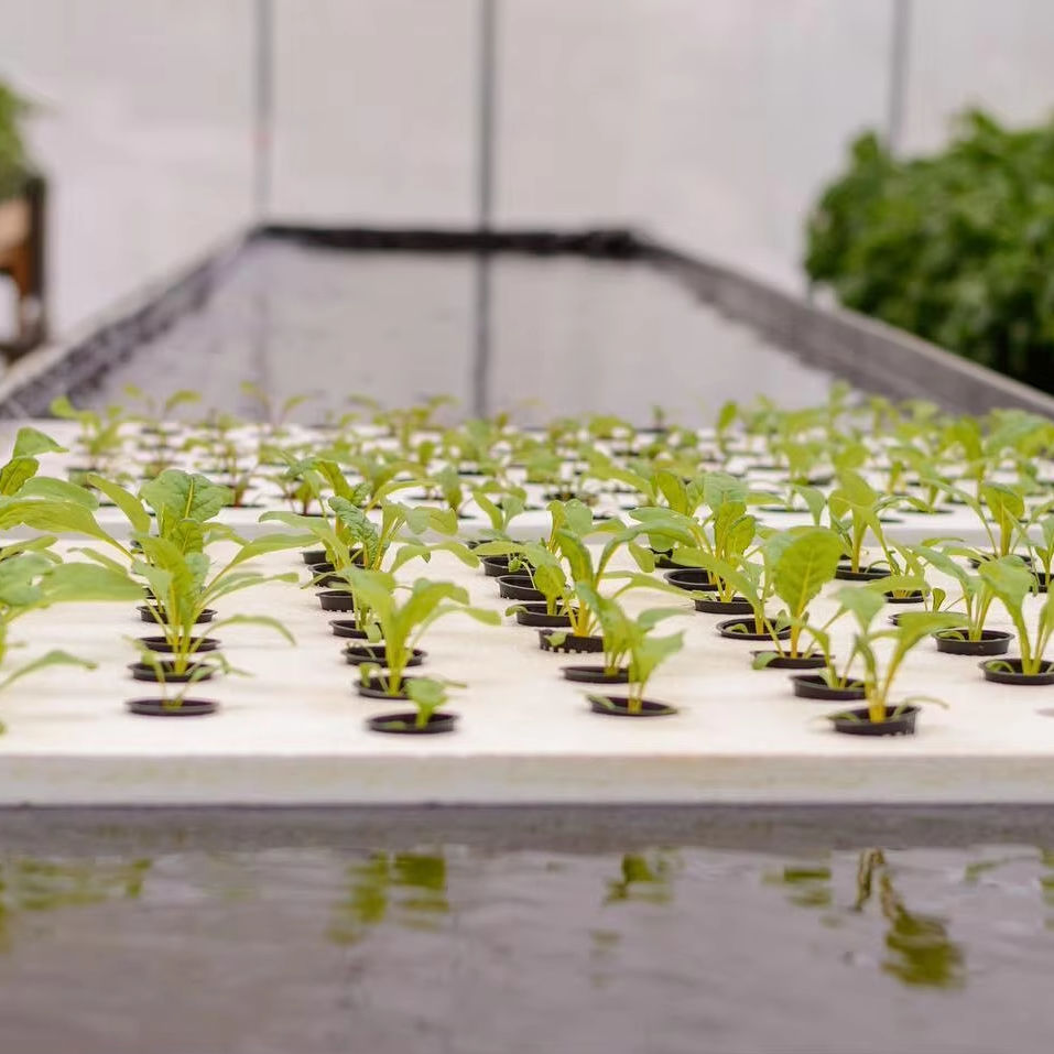 Lightweight PE Liner PE Fish Pond Liner