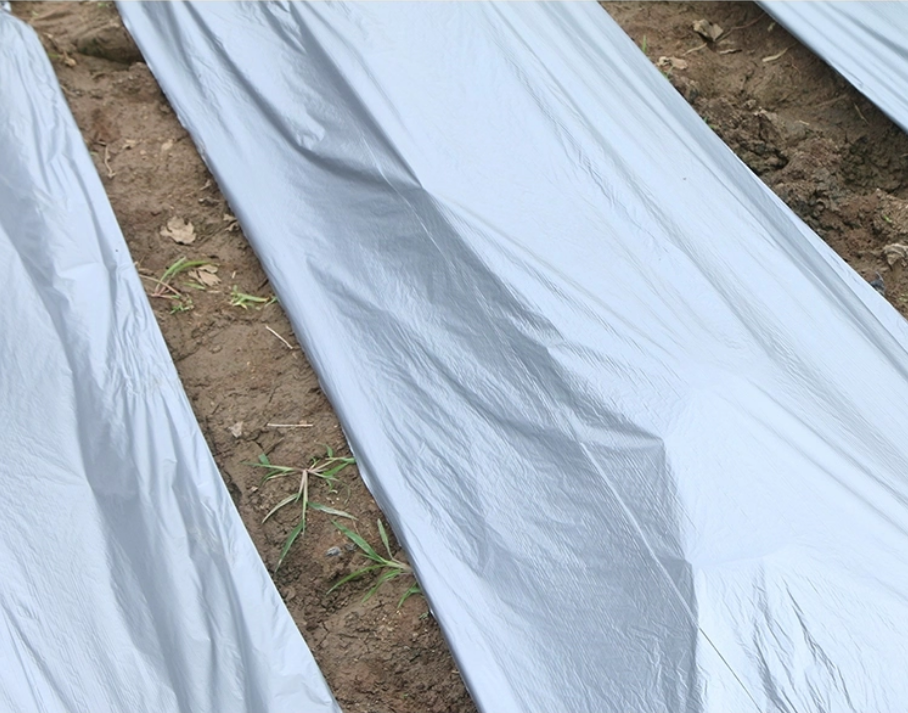 Agricultural Plastic Silver Black Mulch Film Ground Weeds Mats Ground Mulch Film for Vegetables