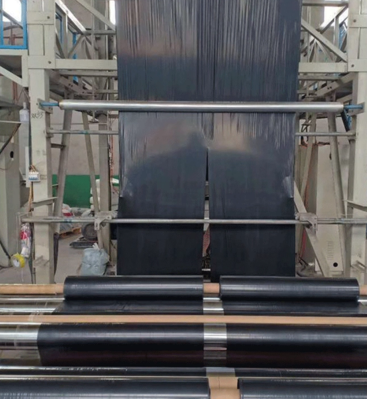 Wholesale High Quality Silver and Black MULCH FILM Plastic Cover for Greenhouse for Softened Cultivation