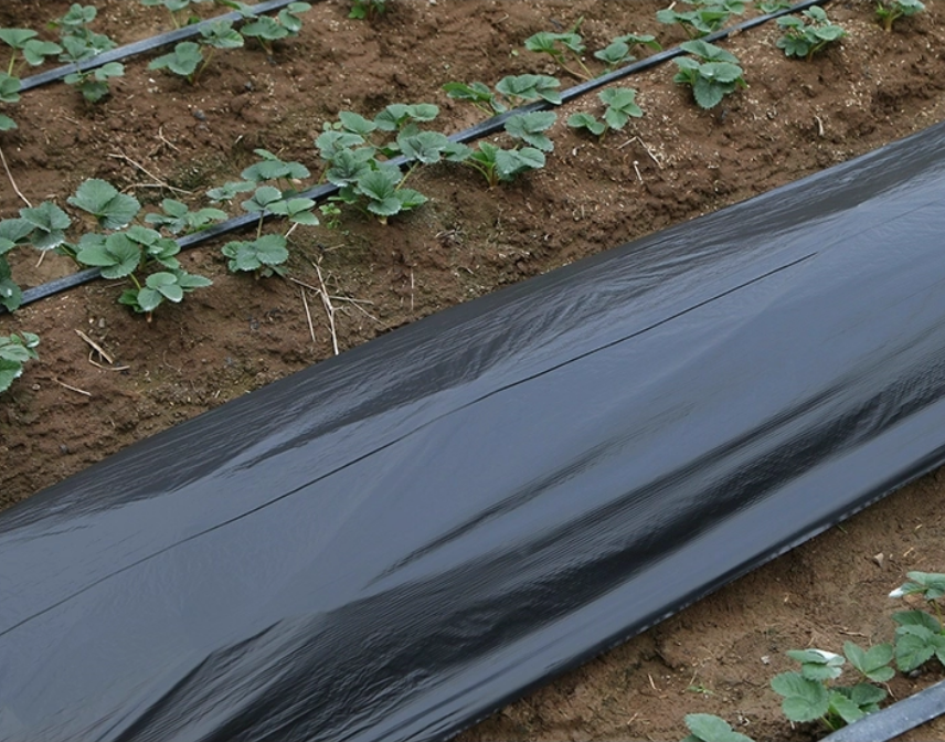 Ground Covering Agricultural Non-woven Film Plastic Mulch Film Mulch Sheet for Agriculture
