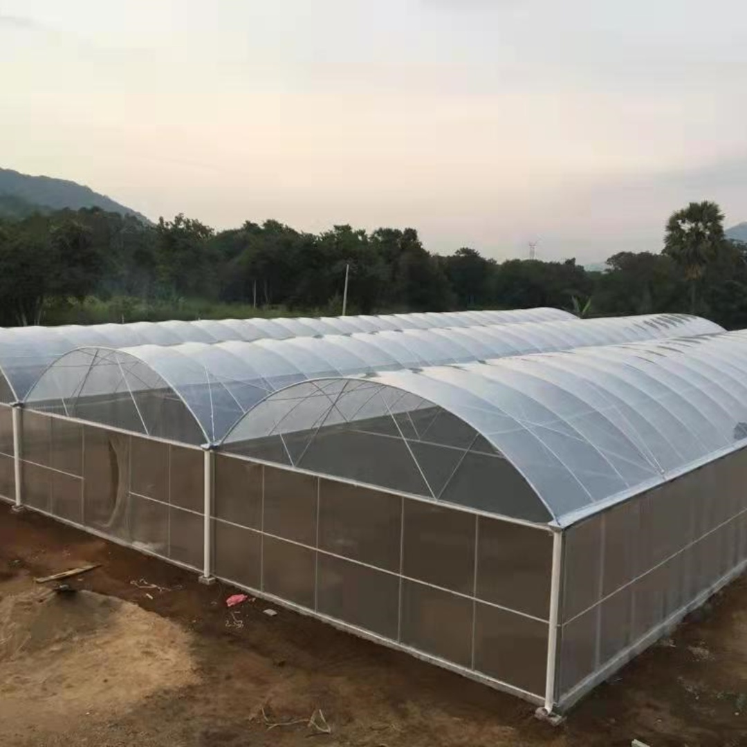 UV Treated Agriculture Greenhouse Film Custom Cut to Size