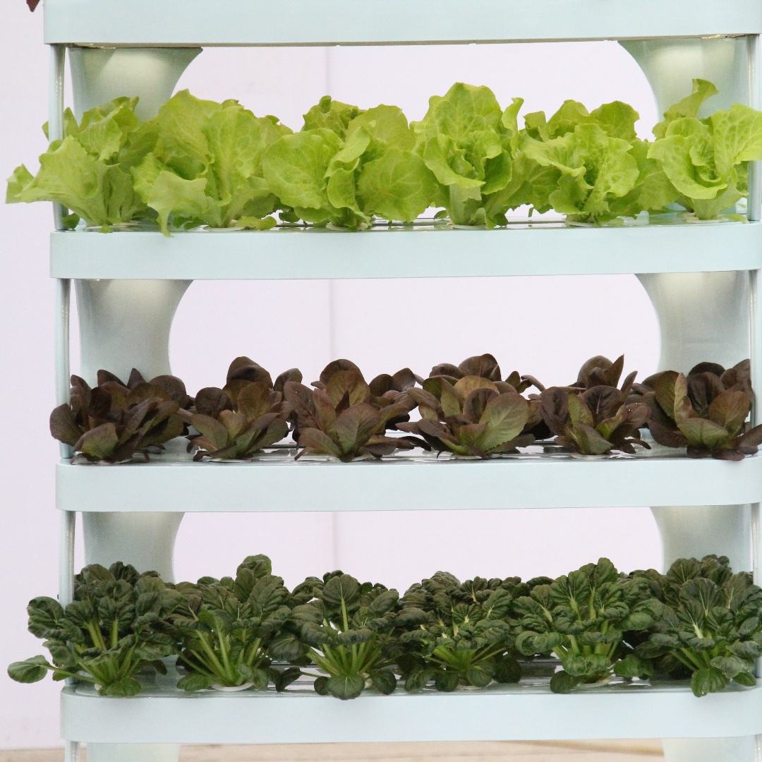 Indoor Plant Cabinet Vertical Farming Hydroponic Indoor Garden Smart Home Grow System Vegetable Growing Machine