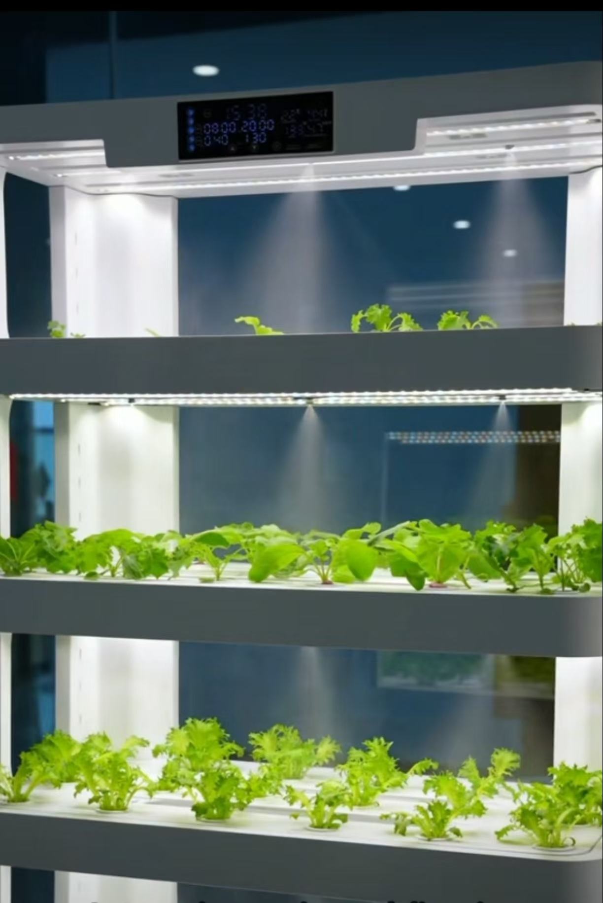 Smart Home Vertical Hydroponic Grow System 5 Layer Indoor Garden Practical Vegetable Growing Machine