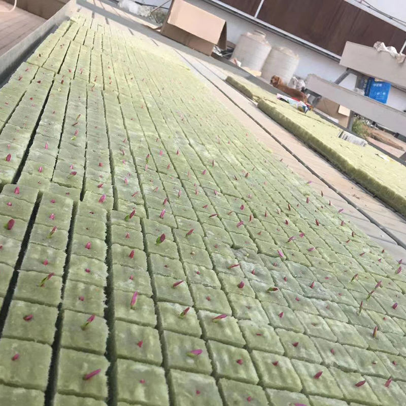 Rock Wool Grow Cubes for Hydroponics