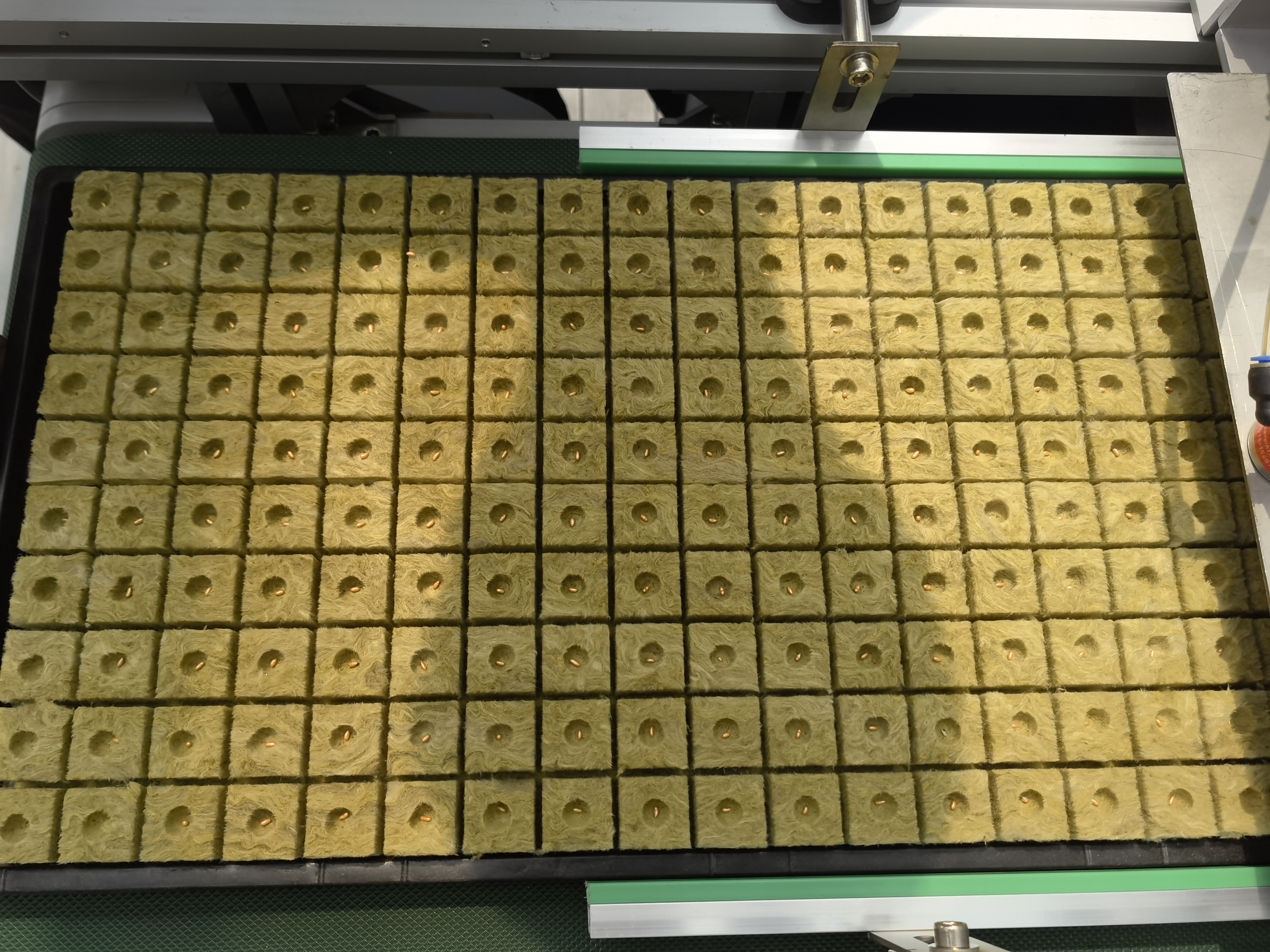 G&N Greenhouse Commercial Used Automatic Vegetable Tray Nursery Seedling Seeder Seed Planting Machine