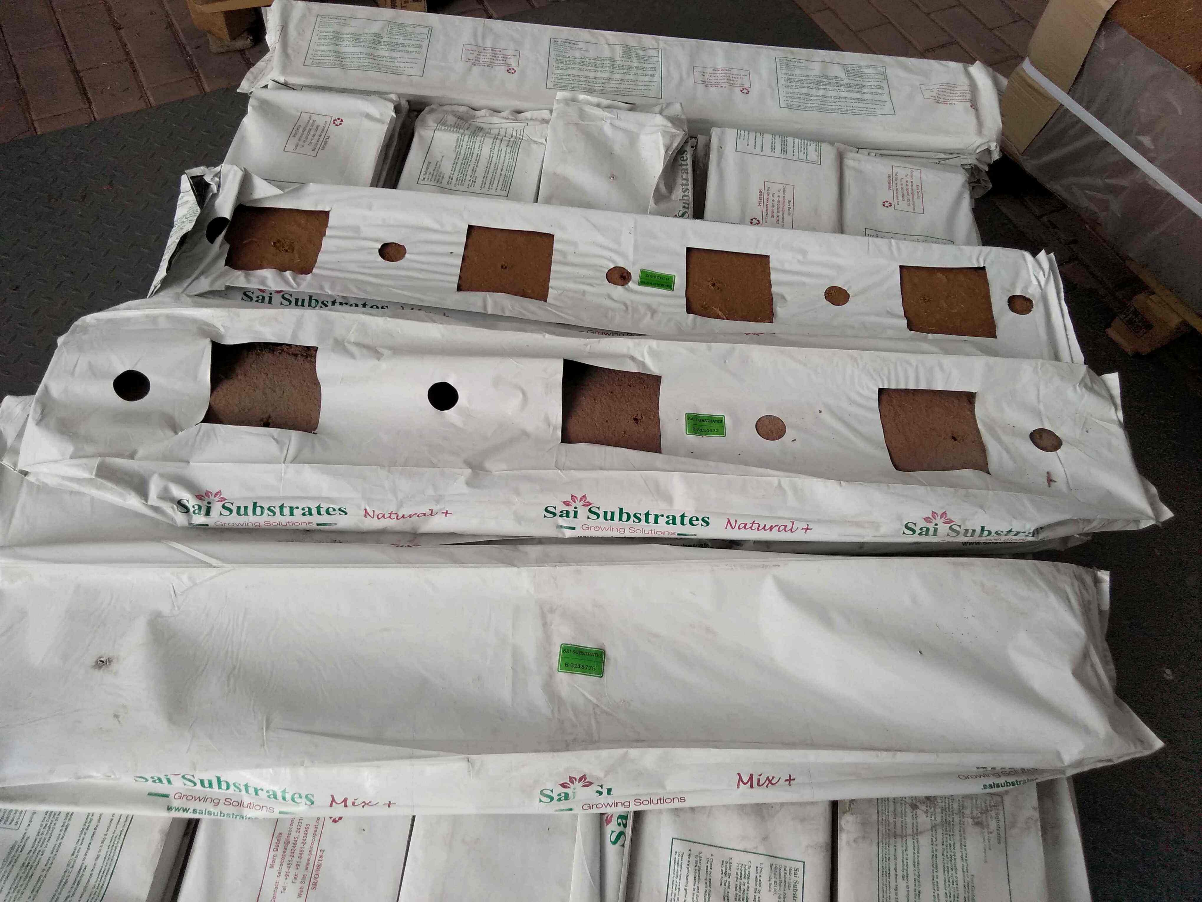 Soilless Cultivation of Coconut Peat Substrate Grow Bag with Strawberry Planting