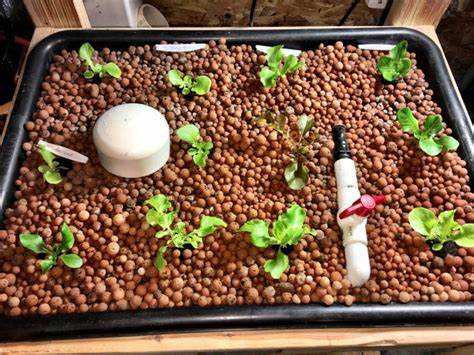 Clay Ball for Garden Planting Indoor Professional Expandable Clay Ball System