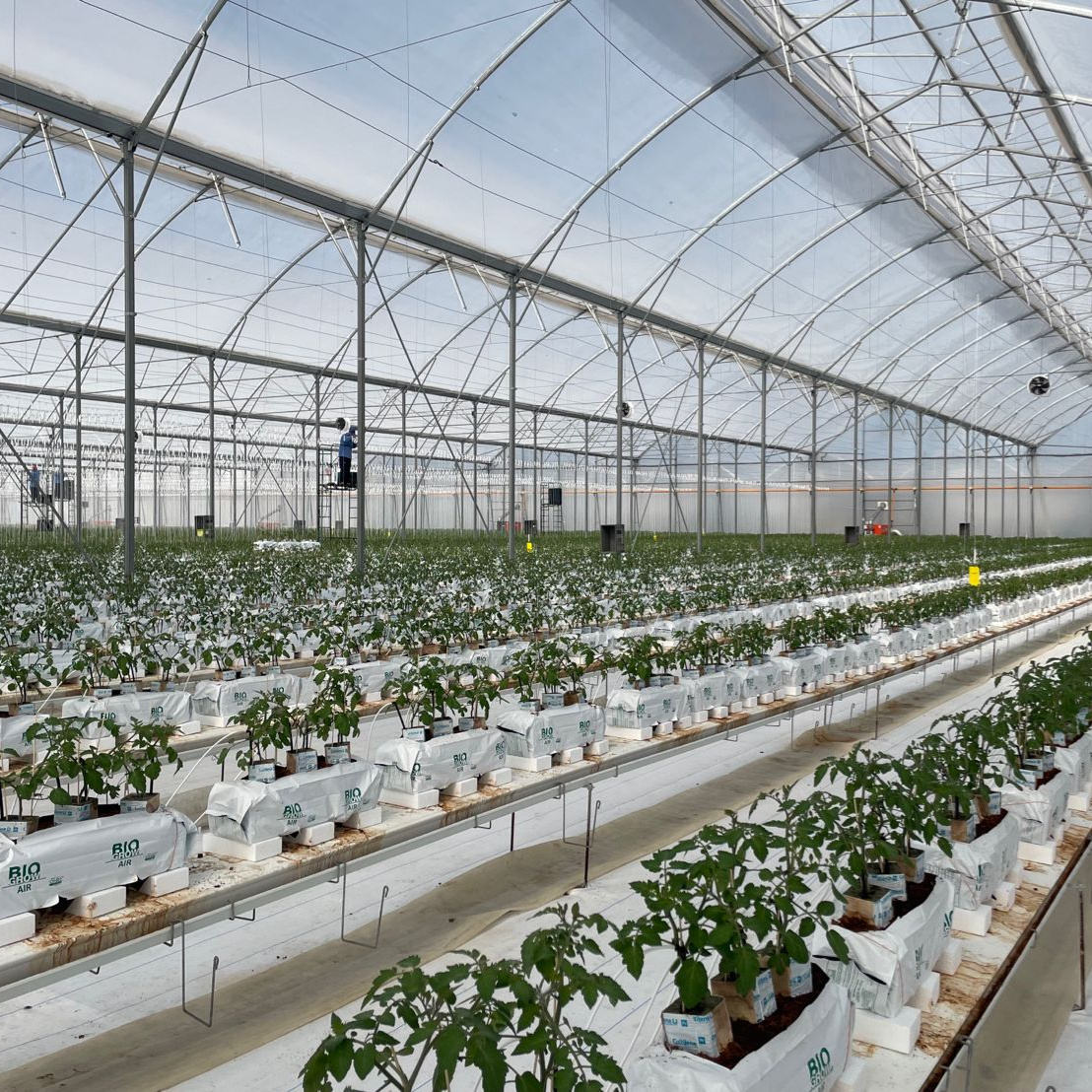 Vegetable Substrate Trough Strawberry Gutter Hydroponic Growing System for Greenhouse