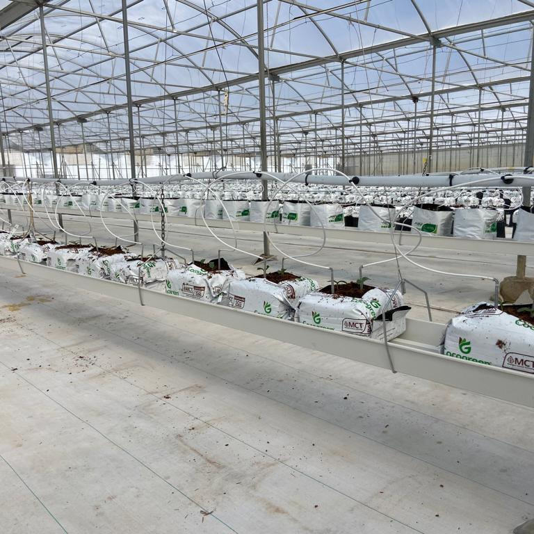 Vegetable Substrate Trough Strawberry Gutter Hydroponic Growing System for Greenhouse