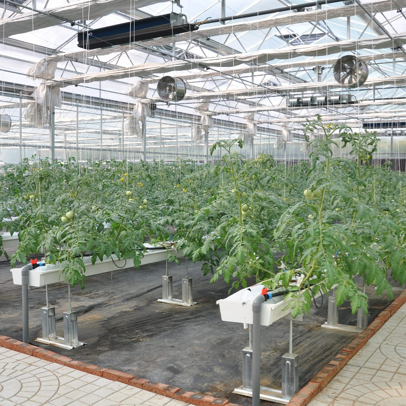 Vegetable Substrate Trough Strawberry Gutter Hydroponic Growing System for Greenhouse