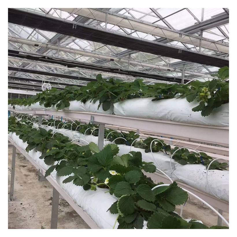 NFT Strawberry Gutter PVC Gutter Fittings Greenhouse Strawberry Substrate Gutter Vertical Systems