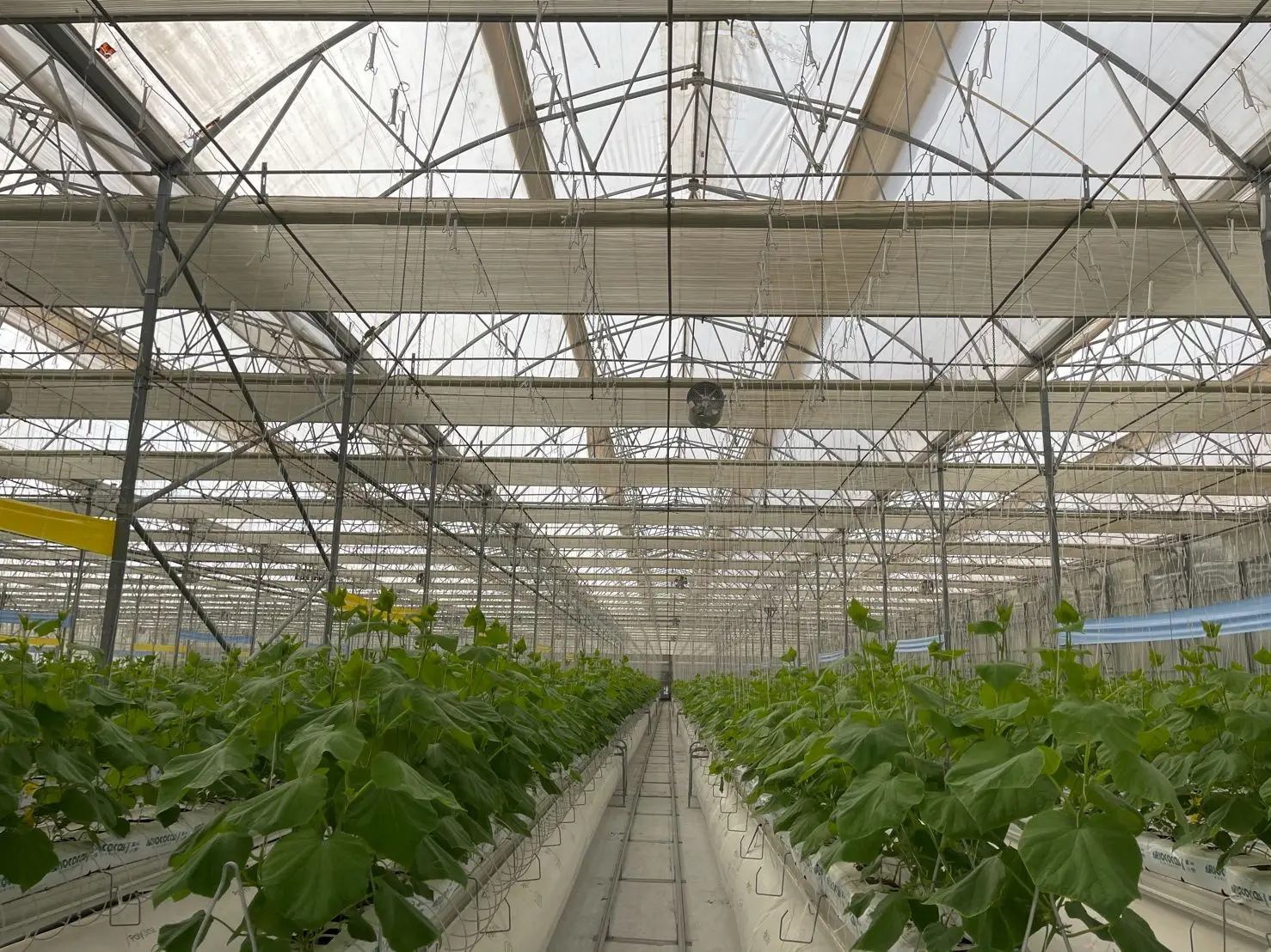 NFT Strawberry Gutter PVC Gutter Fittings Greenhouse Strawberry Substrate Gutter Vertical Systems