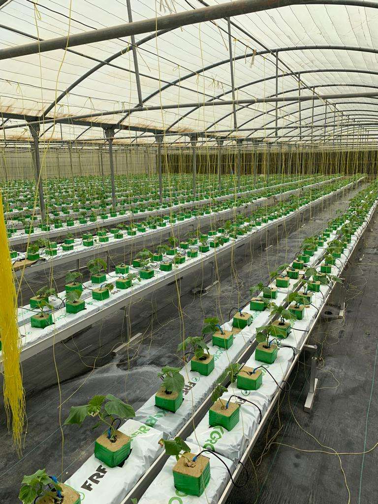 Greenhouse Cultivation Irrigation & Hydroponics Equipment Substrate PVC Gutter System for Strawberry Tomatoes Planting Pipe