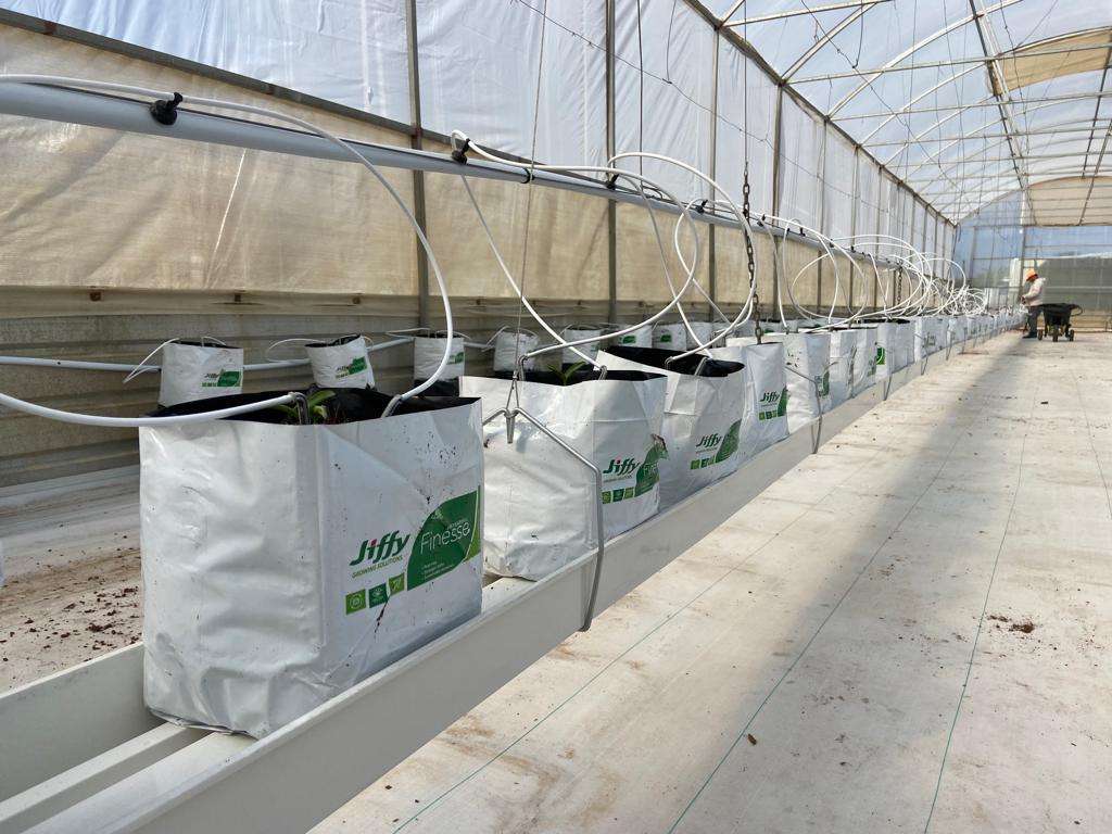 Greenhouse Cultivation Irrigation & Hydroponics Equipment Substrate PVC Gutter System for Strawberry Tomatoes Planting Pipe