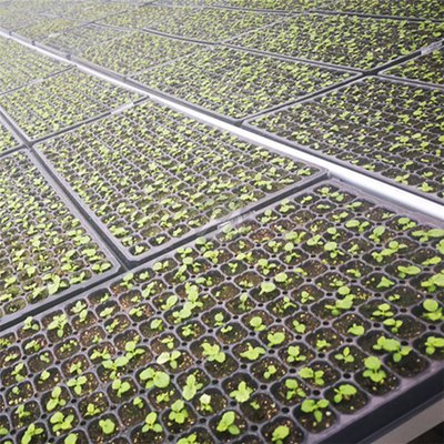 Lock in Moisture, Boost Germination Seed Tray Lids Optimize Hydroponic Seedling Care