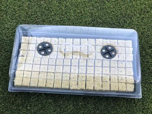 seed tray planter