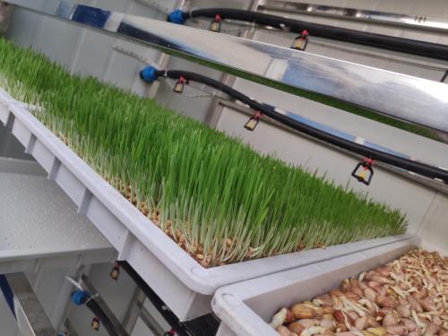 Built for Reliability Animal Fodder System Elevates Hydroponic Production