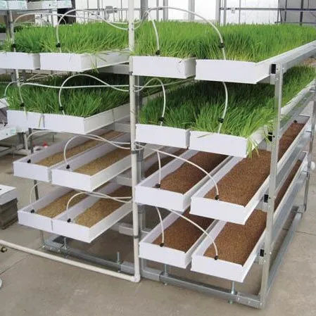 Hydroponic-Grown Fodder Reinvents Fodder Storage