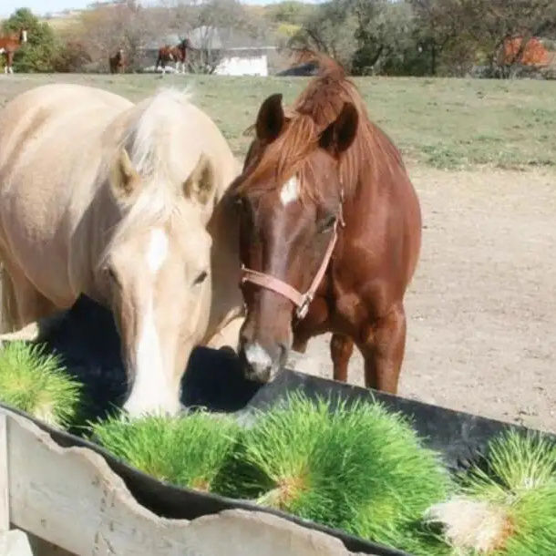 best hydroponic system best hydroponic system