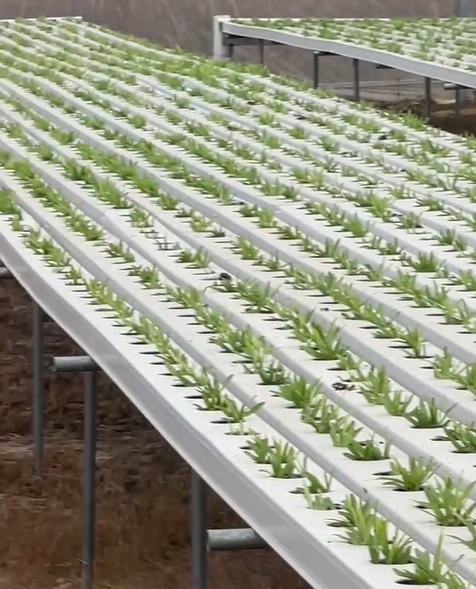 Hydroponic NFT Channels Turn Water Flow into Growing Power